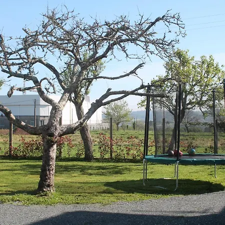 Casa de Férias A Casa De Dora Da